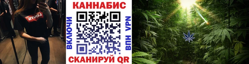 наркота  Ивангород  Шишки марихуана Ganja 